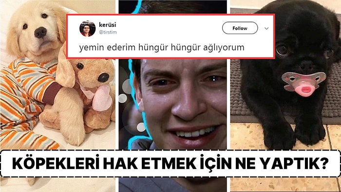 Tüylü Dostlarımızın Rüyalarında Kimi Gördüğünü Öğrenince Gözlerinizden Kalpler Fışkıracak!