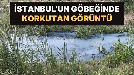 İstanbul Arnavutköy’deki Dere, Kimyasallar Yüzünden ‘Mavi’ Akıyor