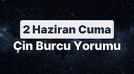 2 Haziran Cuma Çin Burcuna Göre Günün Nasıl Geçecek?