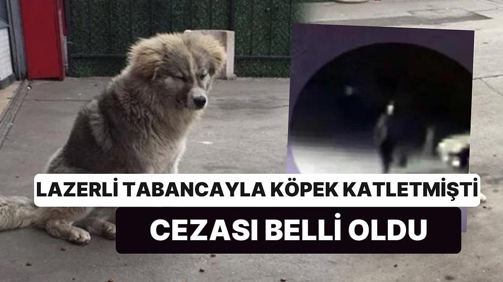 Lazerli Tabancayla Köpek Katleden Zanlı, Para Cezasıyla Kurtuldu