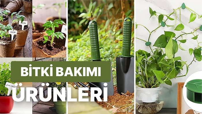 BİM'e Gelse de Alsak Diye Beklediğiniz Bitki Bakanların İhtiyaç Duyduğu Ürünler