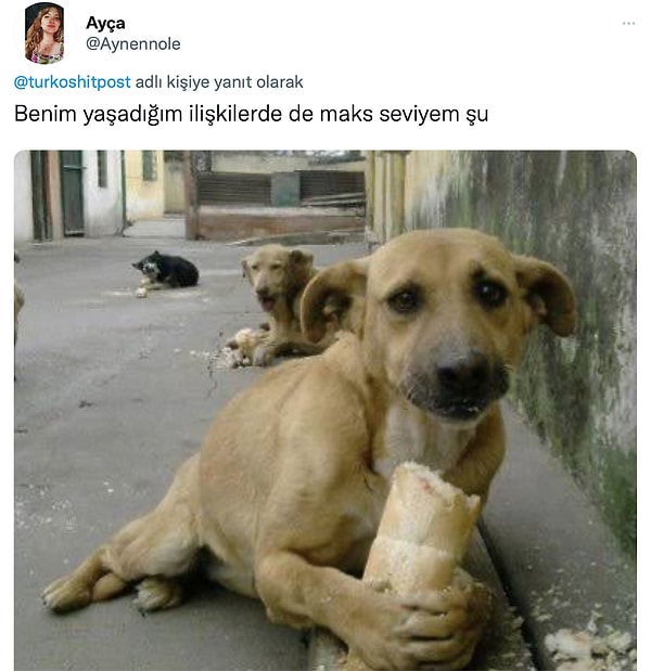 1. Buyrun, istisnasız günün her saatinde hediye komasına giren kadına ve bu hediyeleri ona yağdıran sevgilisine gelen tepkilere beraber bakalım! 😂