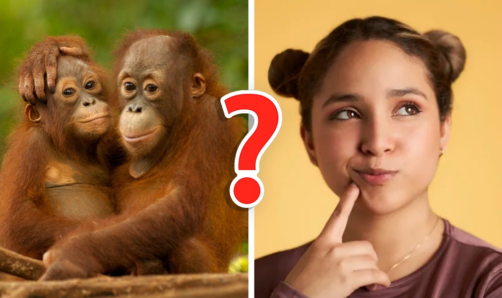 Тест: Только 20% взрослых могут решить эти загадки. А сможете ли вы?