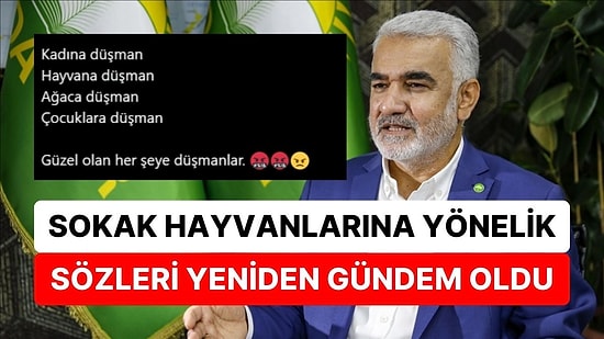 Yapıcıoğlu'nun Sokak Hayvanlarına Yönelik Sözleri Yeniden Gündem Oldu