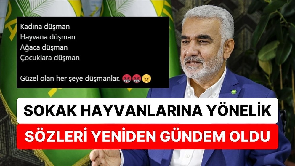 Yapıcıoğlu'nun Sokak Hayvanlarına Yönelik Sözleri Yeniden Gündem Oldu