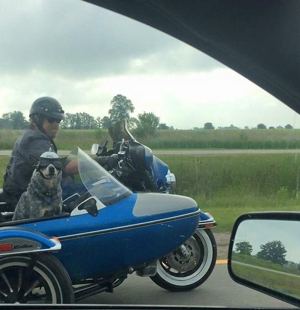 8. Крутой пассажир