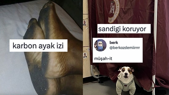 Her Ne Yapıyorsanız Bırakıp Okumanız Gereken Haftanın En Komik Tweetleri