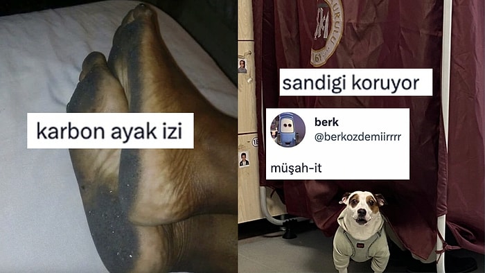 Her Ne Yapıyorsanız Bırakıp Okumanız Gereken Haftanın En Komik Tweetleri