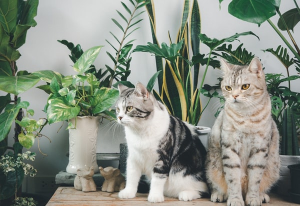 Вы подросток!