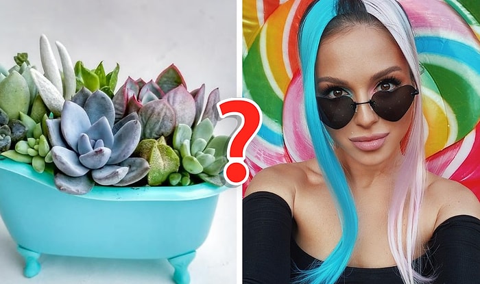 Тест: Угадаем ваш возраст по тому, как вы относитесь к домашним растениям