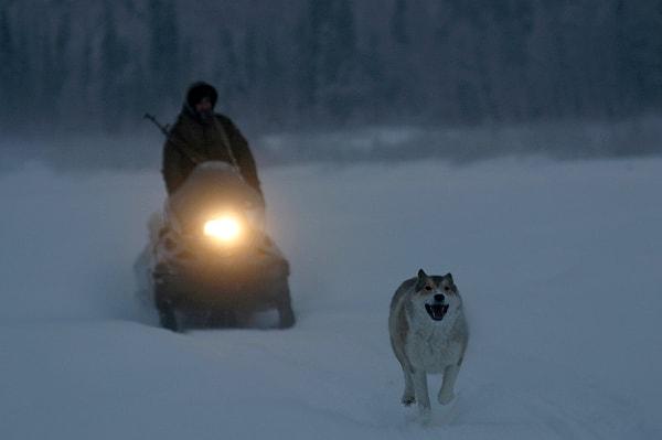 12. Happy People: A Year in the Taiga (2010)