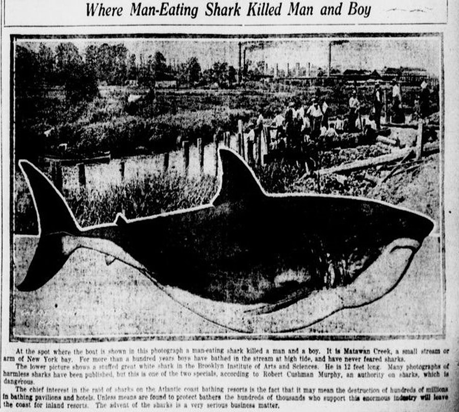 'Jaws' Filmine İlham Olan ve Herkesin Kanını Donduran Korkunç Olay New