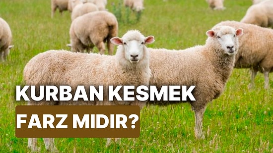 Kurban Kesmek Farz mıdır, Hükmü Nedir? Kimler Kurban Kesmekle Yükümlüdür ve Dini Dayanağı Nedir?