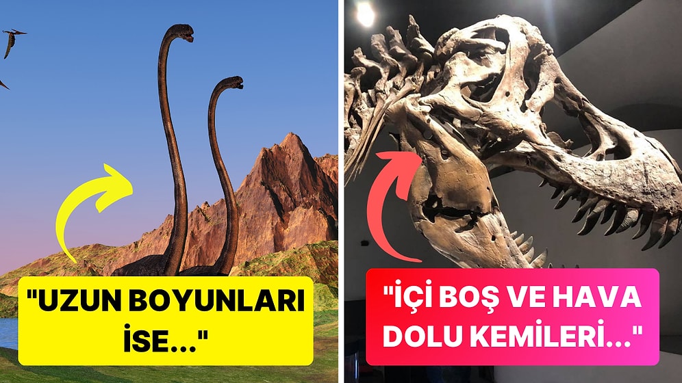 Günümüzdeki Hayvanlar Bu Kadar Küçükken Dinozorlar Nasıl Oluyor da Bu Kadar Fazla Büyüyebiliyorlardı?