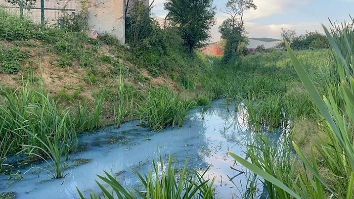 Dere Mavi Aktı, İSKİ'den Açıklama Geldi