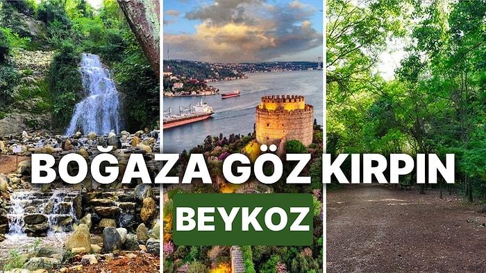 Beykoz'da Gezilecek Yerler: İstanbul’un Simgeleriyle Doğanın Eşsiz Birleşimi Beykoz’da Nerelere Gidilir?