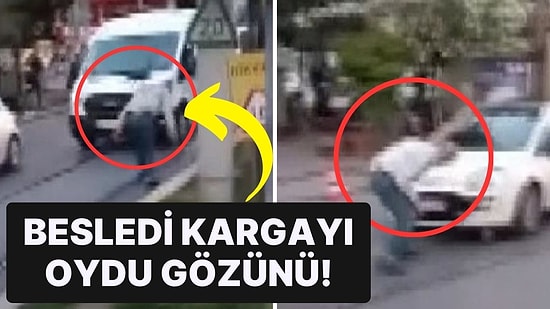 Atasözü Gerçek Oldu: Besledi Kargayı, Oydu Gözünü!