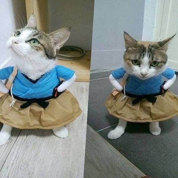 4. Ну какая милота 😍