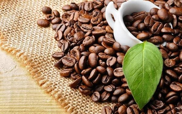 Sonuç olarak, kahve çekirdekleri keyifli bir fincan kahvenin temelini oluşturur.