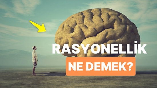 Rasyonel Ne Demek? Rasyonel Zemin Nedir, Ne Anlama Gelir?