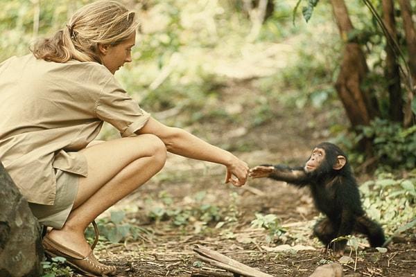 13. Jane Goodall (1934 - )
