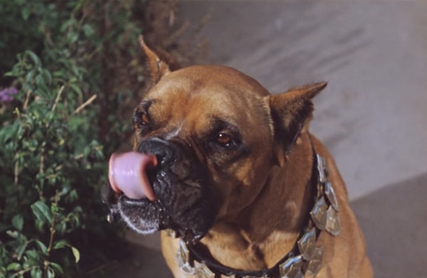 6. Что это за фильм?