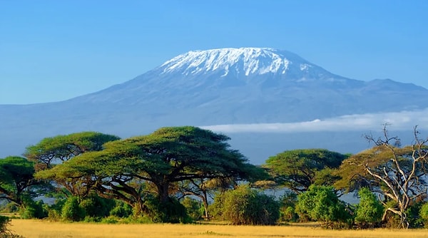 8. Где расположена гора Килиманджаро?