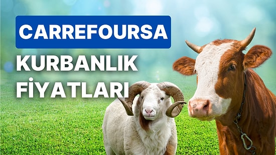 Carrefour Kurbanlık Fiyatları Ne Kadar? CarrefourSA Büyükbaş, Küçükbaş, Bağış Kurbanı Fiyatları ve Taksitleri