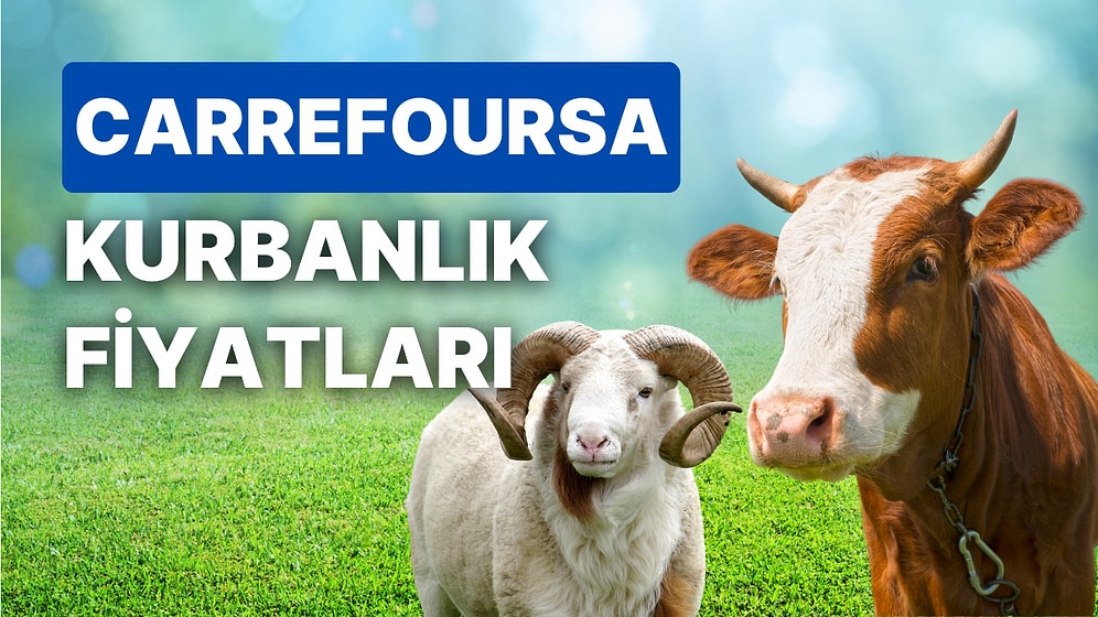 Carrefour Kurbanlık Fiyatları Ne Kadar? CarrefourSA Büyükbaş, Küçükbaş, Bağış Kurbanı Fiyatları ve Taksitleri