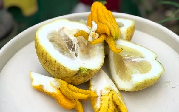 7. А это что за интересный фрукт?