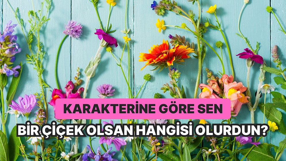 Karakterine Göre Sen Bir Çiçek Olsan Hangisi Olurdun?