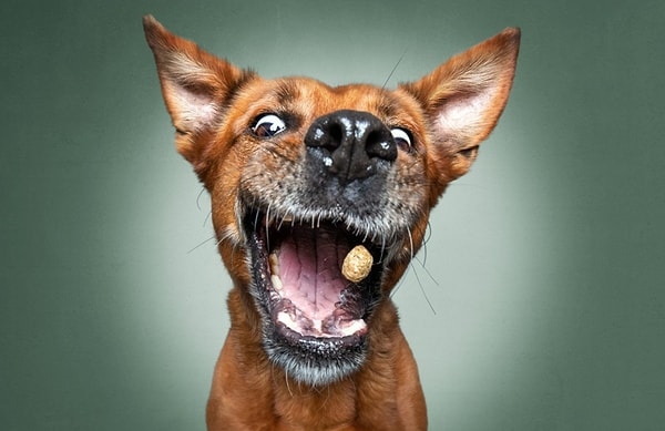 6. Хороший мальчик