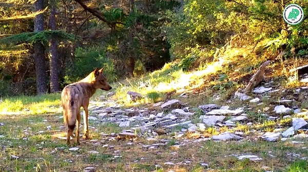 1. Doğa ile uyumlu bir yaşam