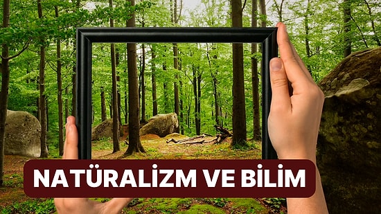 Natüralizm Nedir? Bilim ile Natüralizm Arasındaki İlişki Nasıldır?