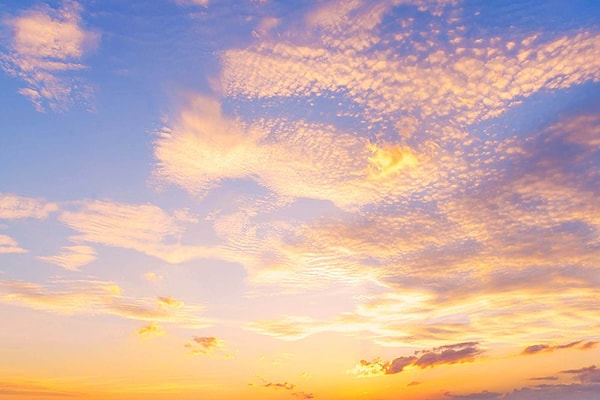 8. Какой из следующих фактов о глобальной температуре НЕ соответствует действительности?