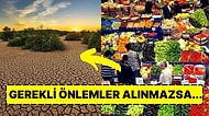 Gıda Enflasyonu Şiddetlenebilir: Yapılan Yeni Araştırmaya Göre Kuraklık Birçok Tarımsal Ürünü Vurdu!