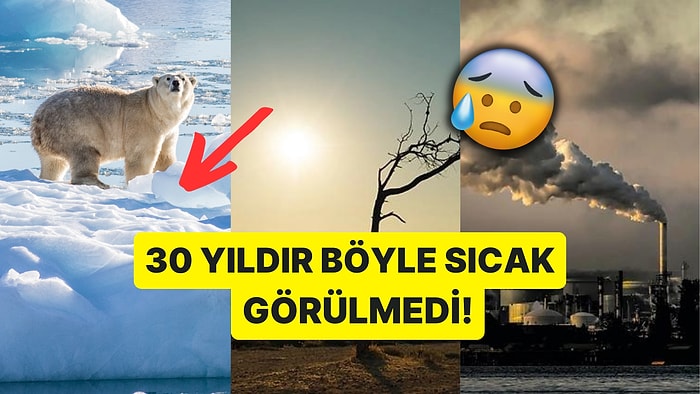 Son Otuz Yılın En Sıcak Günlerini Yaşıyoruz! Mayıs Ayında Rekor Kıran Sıcaklıklar Buzulları da Kötü Etkiliyor