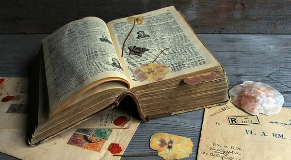 10. Что это за книга?