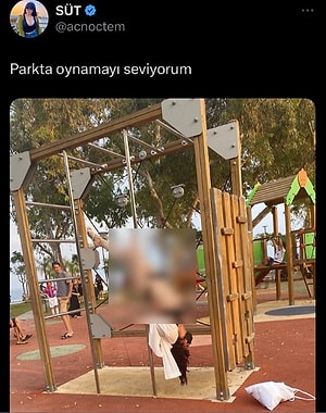 Nevşin Mengü'nün Yayınına Pedro ve Süt Katıldı - Onedio