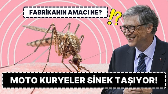 Bill Gates'in En Çılgın Projesi Olabilir: Haftada 30 Milyondan Fazla Sivrisinek Üretilip Sokaklara Salınıyor!