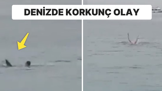 Denizde Korku Dolu Anlar: Köpekbalığı Saldırısında Hayatını Kaybetti
