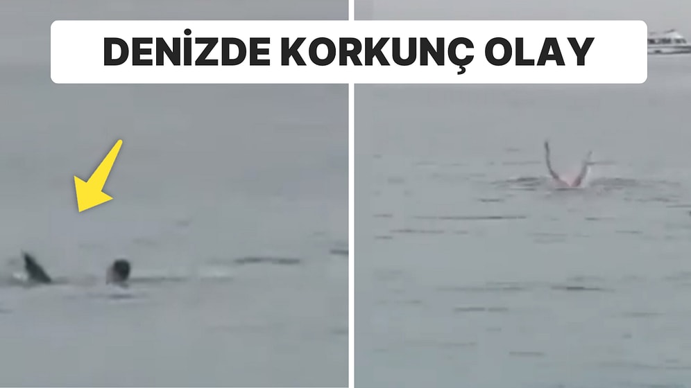 Denizde Korku Dolu Anlar: Köpekbalığı Saldırısında Hayatını Kaybetti