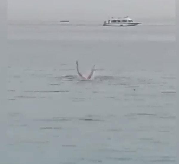 Denizde yüzden Rus turist, gri köpekbalığının saldırısına uğradı ve hayatını kaybetti.