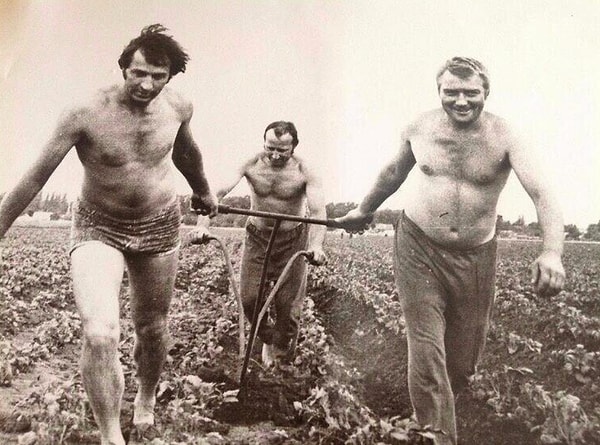 3. На картошке, 1989 год, Ростовская обл., Волгодонской р-н, пос. Победа