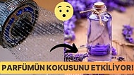 Aynı Parfümü Kullanan Kişiler Neden Farklı Kokar?