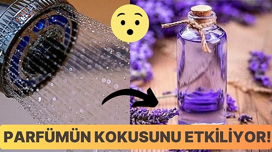 Aynı Parfümü Kullanan Kişiler Neden Farklı Kokar?