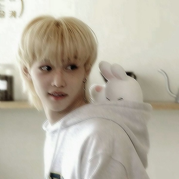 skz enayisi