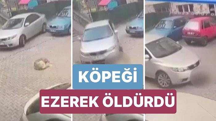 Bir Otomobil Sürücüsünün Site Otoparkında Yatan Köpeği Ezerek Öldürdüğü Anlar Güvenlik Kameralarına Yansıdı