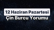 12 Haziran Pazartesi Çin Burcuna Göre Günün Nasıl Geçecek?
