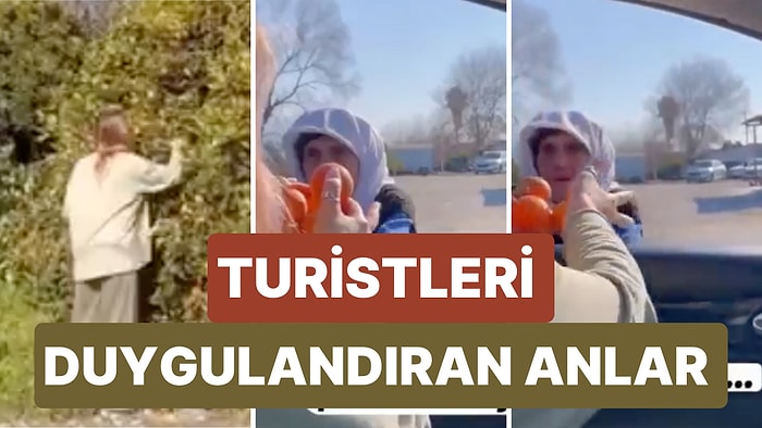 Portakal Bahçesine Girdikleri Teyzenin Kızacağını Düşünürken Teyzenin Portakal İkramıyla Duygulanan Turistler